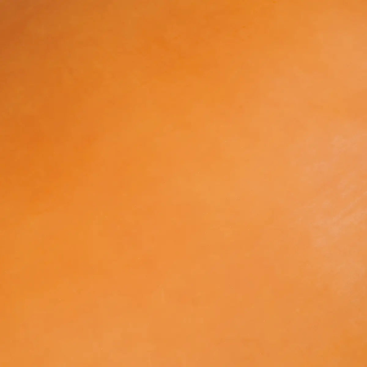 Golden Strap Veg Tanned Leather 5-6 oz.