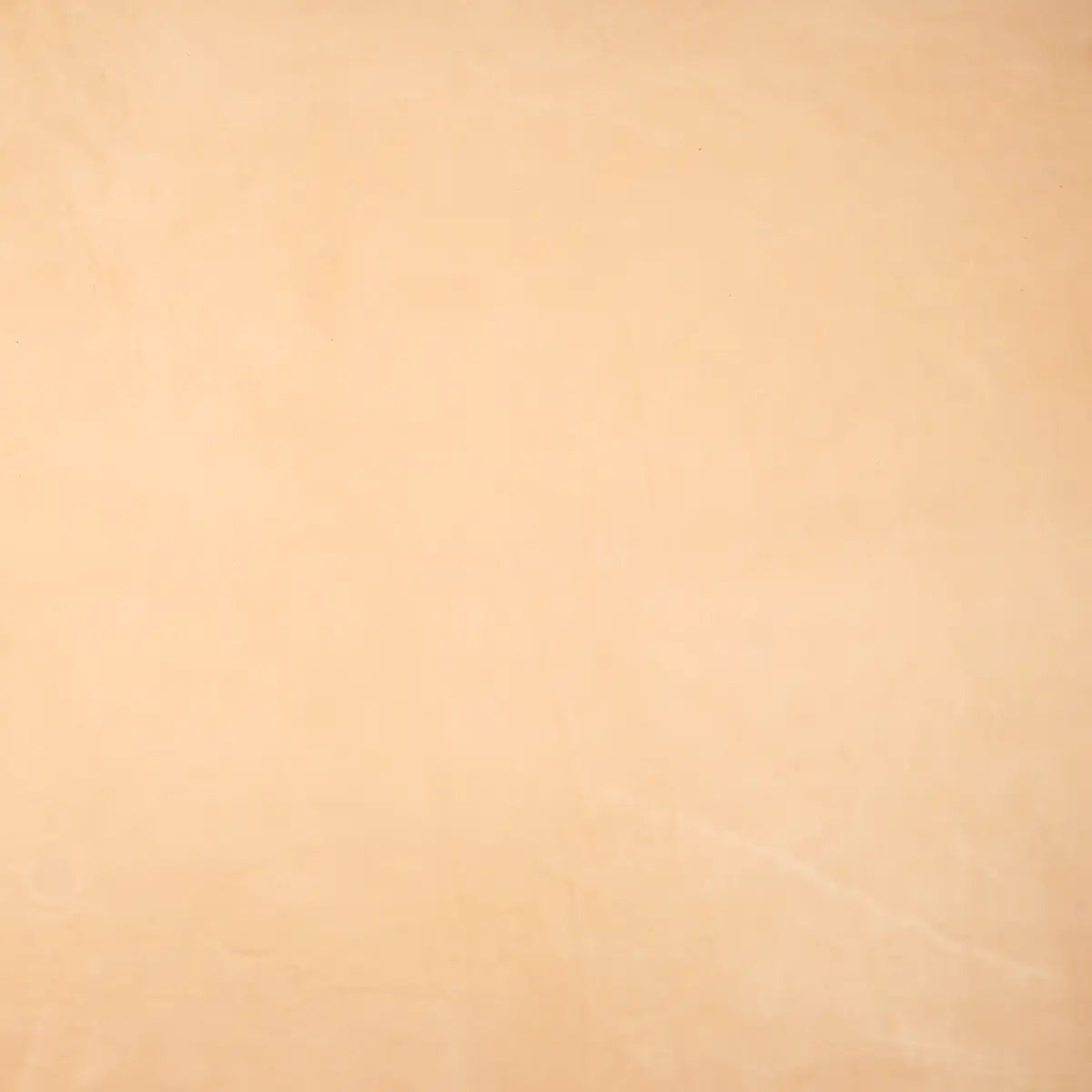 Hermann Oak Veg-Tan Leather 5-6oz - Grade B.