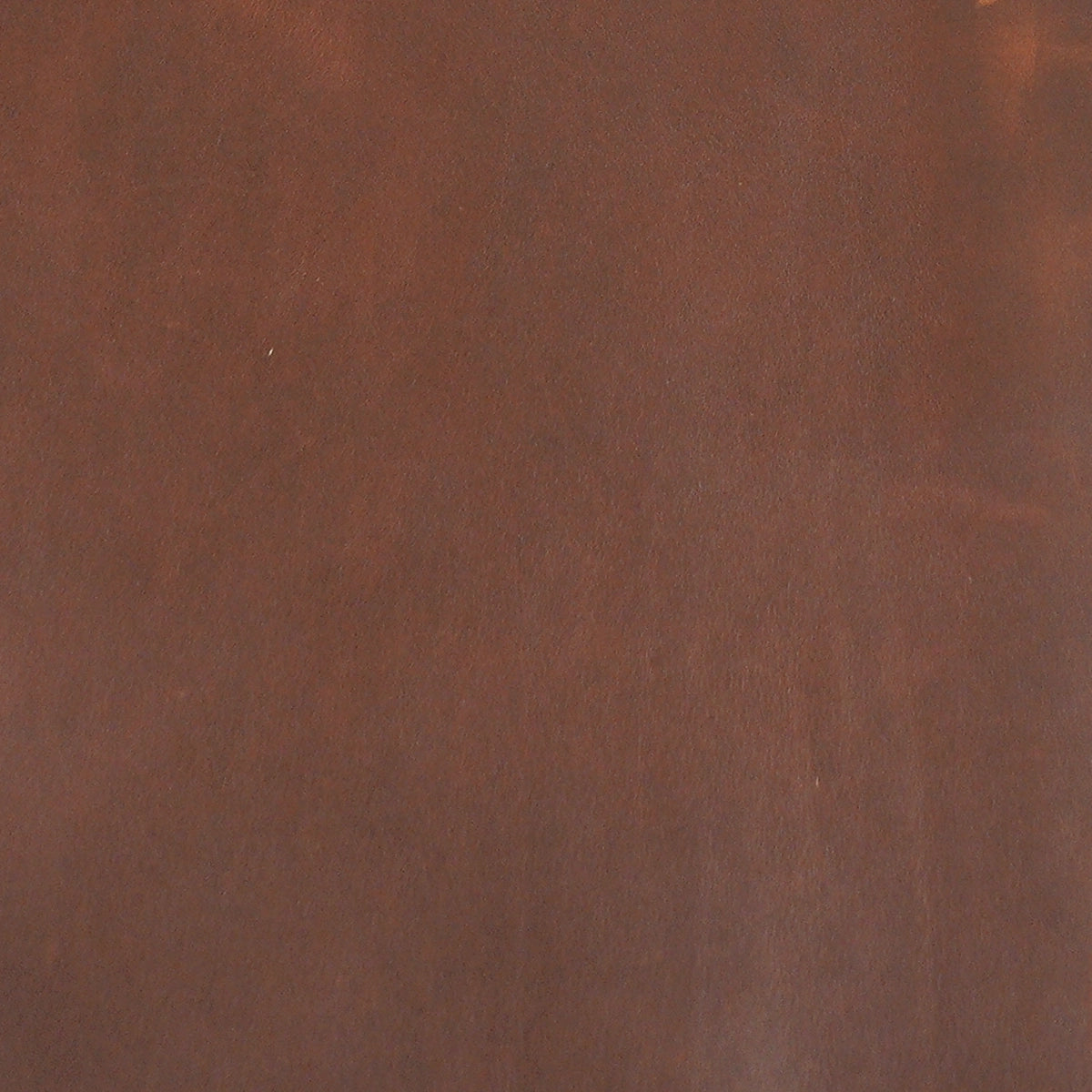 Medium Brown Horween Cavalier Leather 3-4oz.