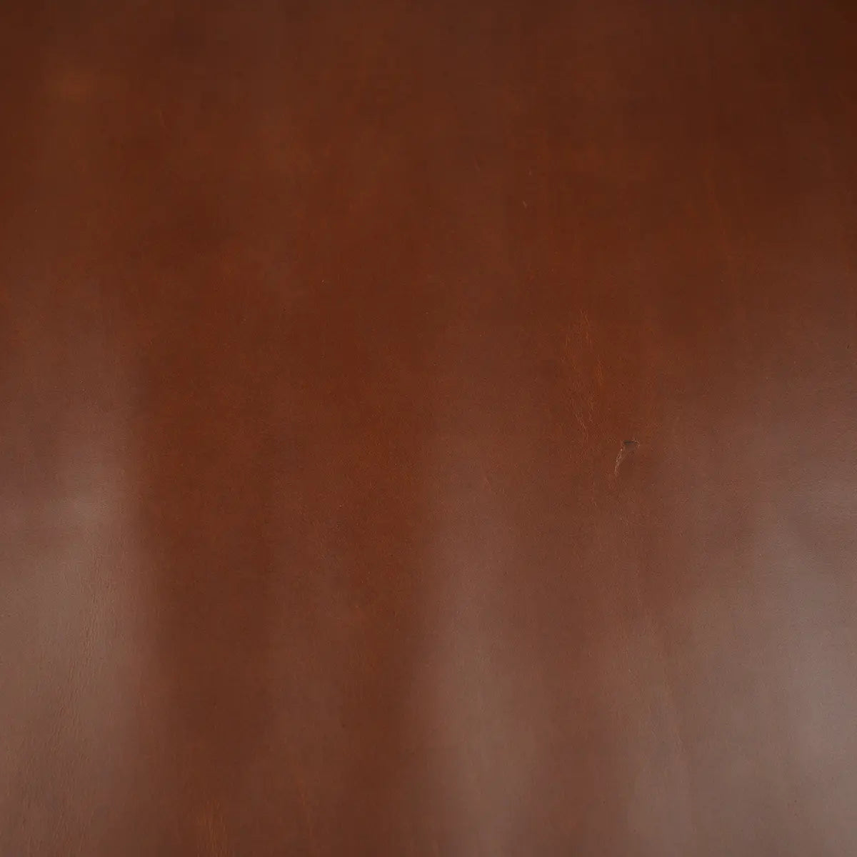 Horween Cavalier Leather Sides - Whiskey.