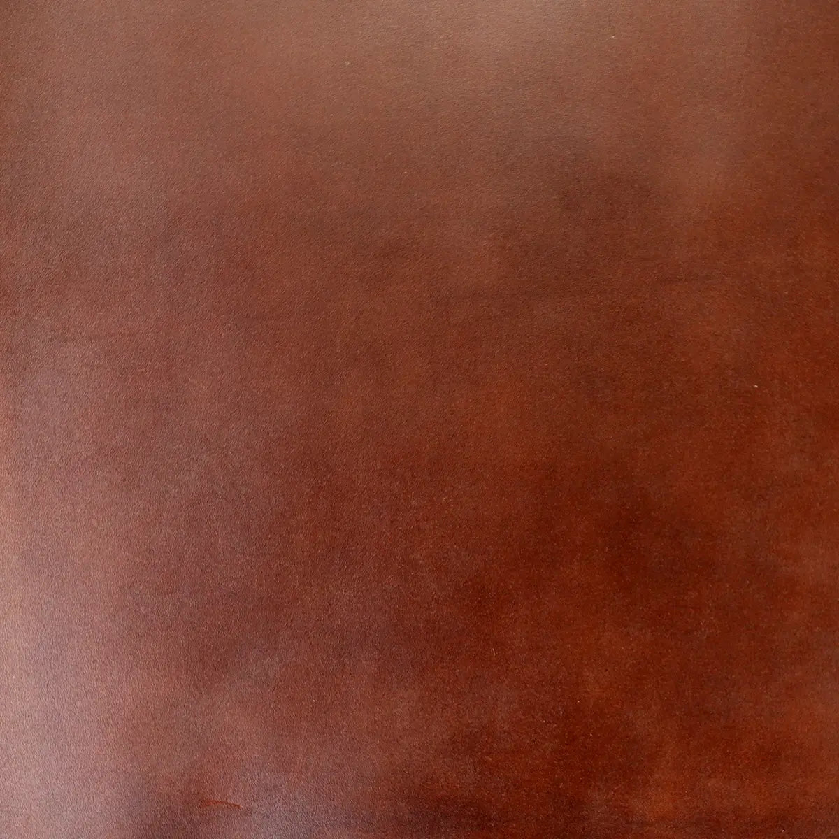 Horween Dublin Type Darker Browns Leather 4-5 oz.