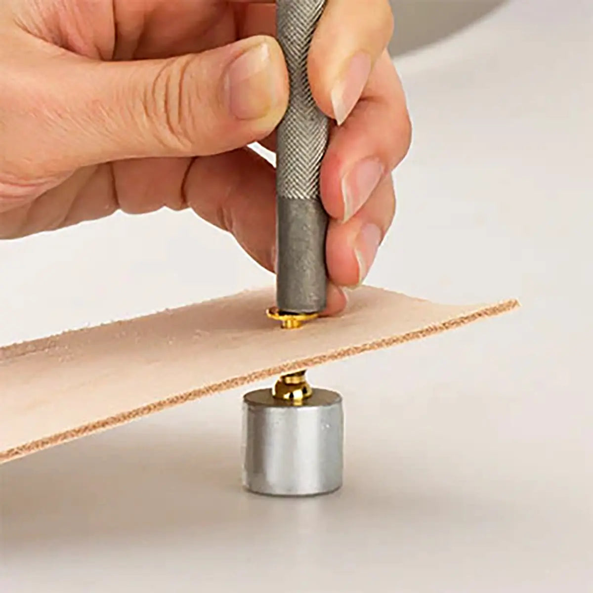 Ivan Stud Anvil.