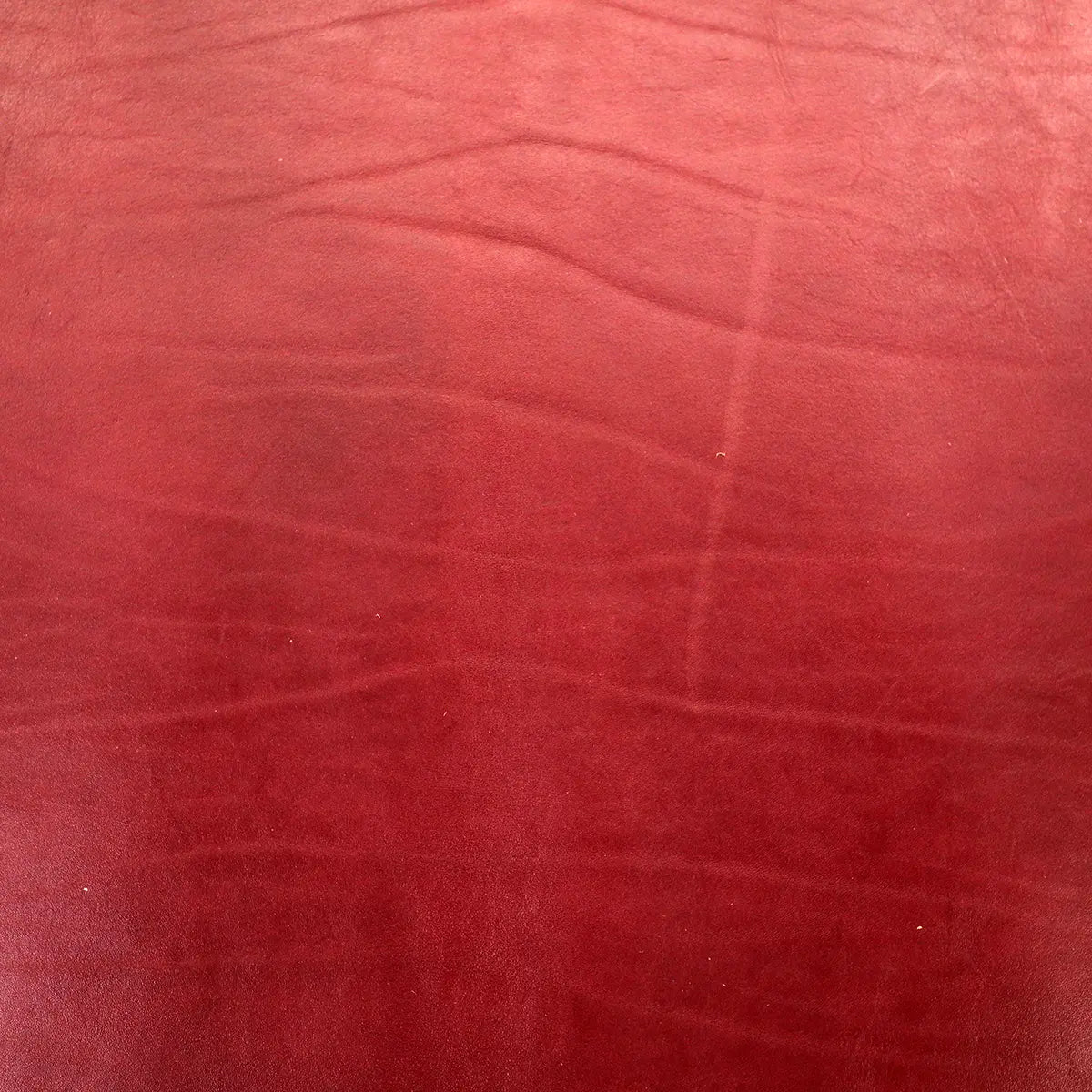 Latigo Double Shoulder 4-5oz Leather