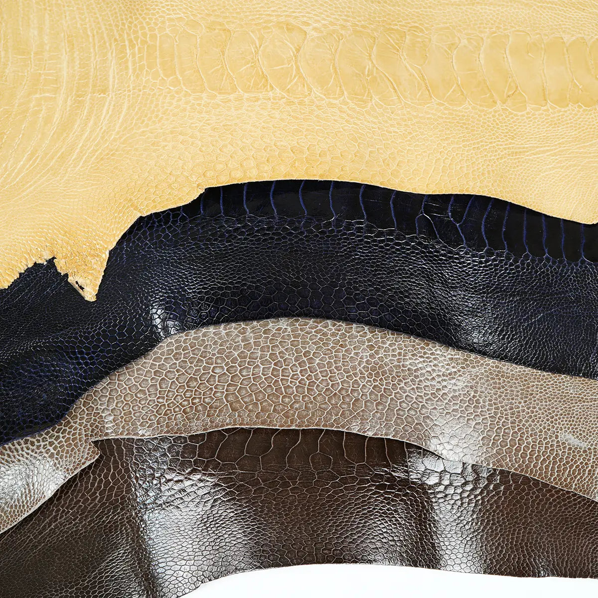 Ostrich Leg Leather Small