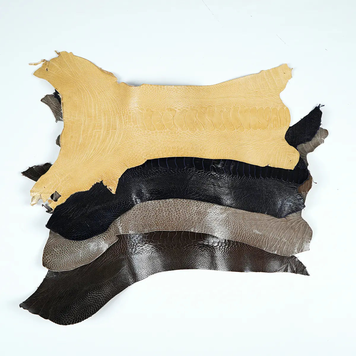 Ostrich Leg Leather Small
