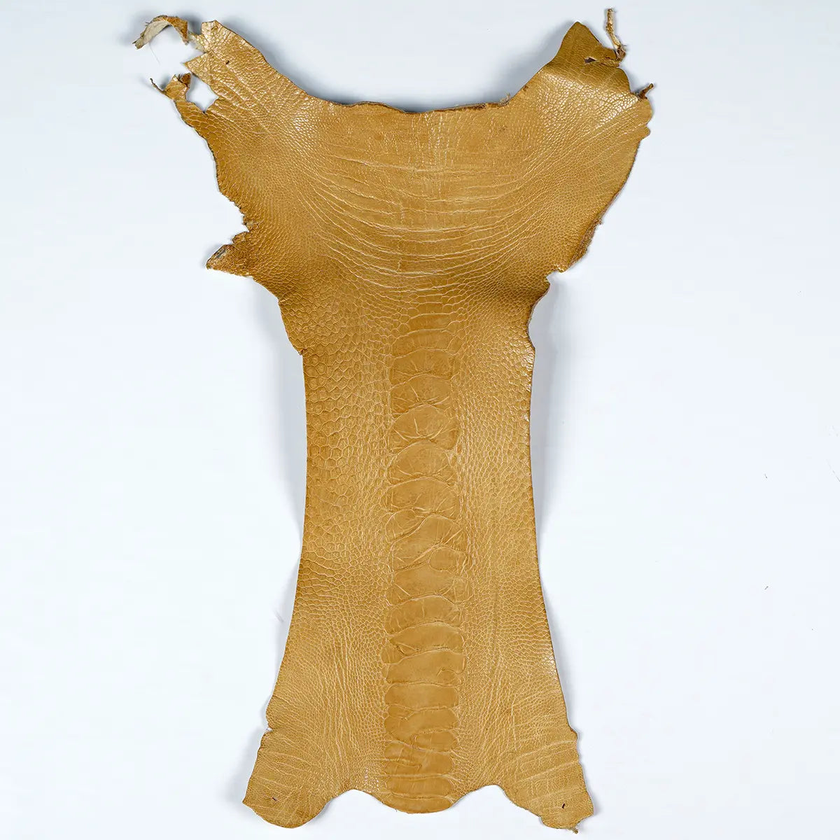 Ostrich Leg Leather Small