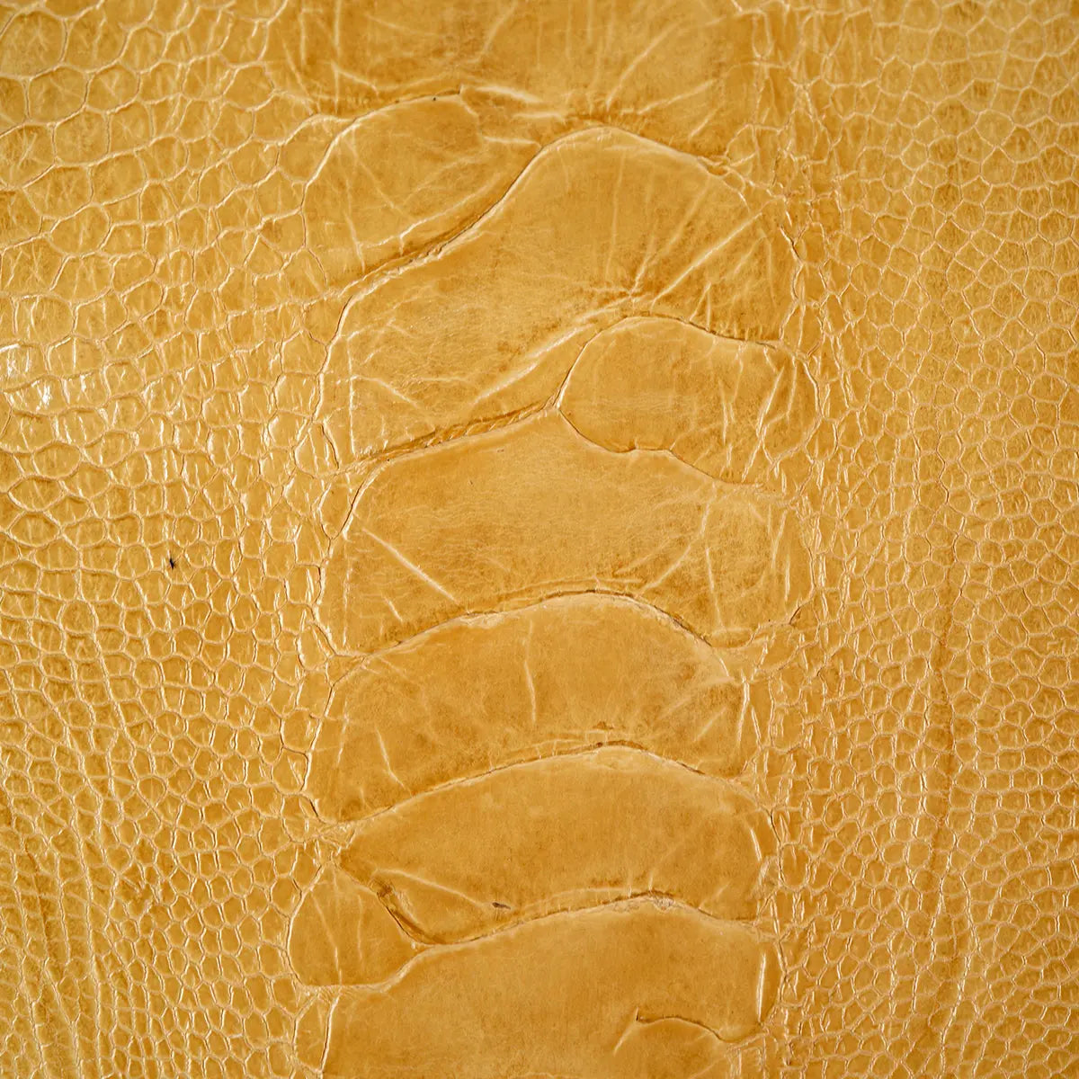 Ostrich Leg Leather Small