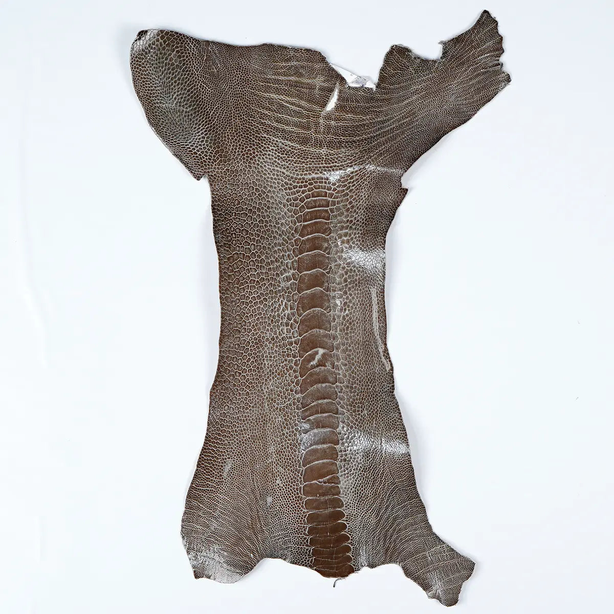 Ostrich Leg Leather Small