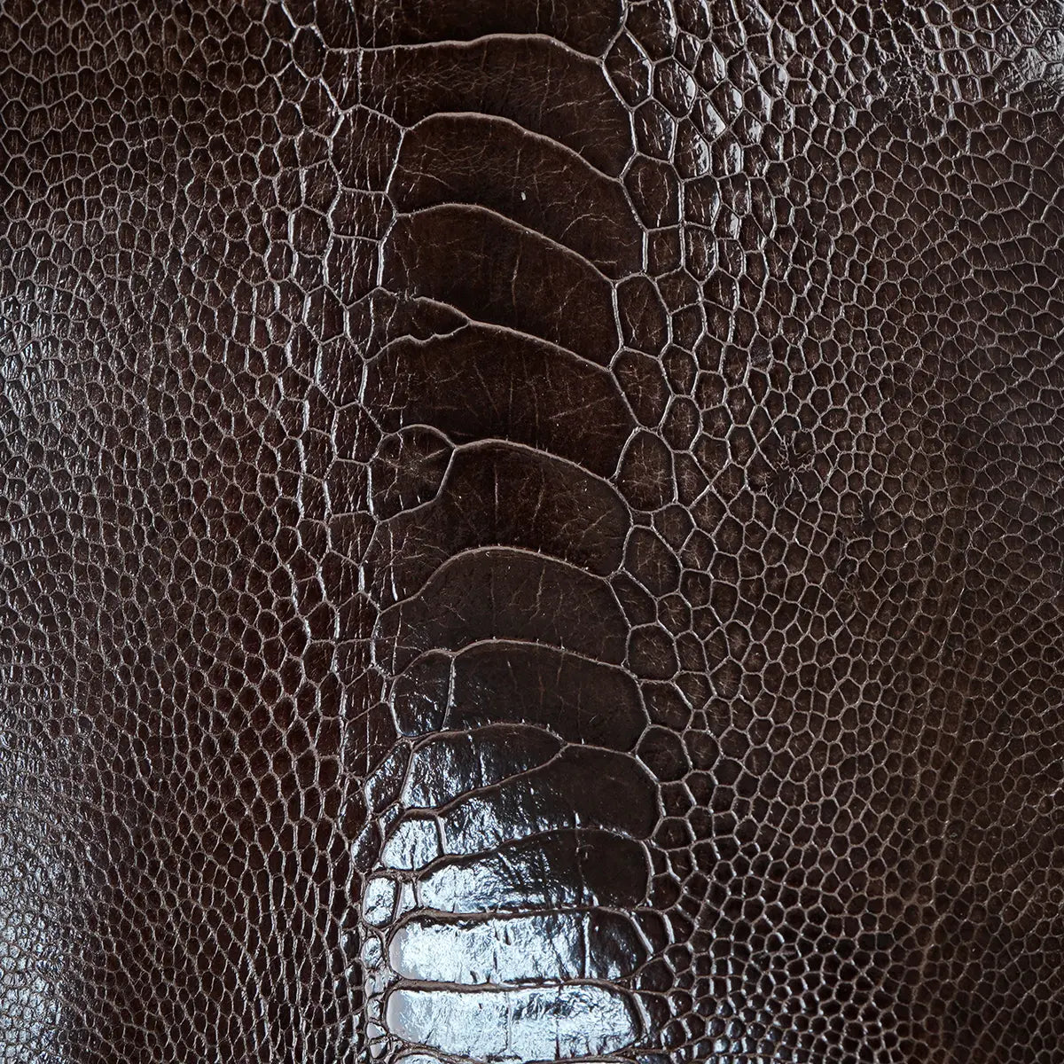 Ostrich Leg Leather Small