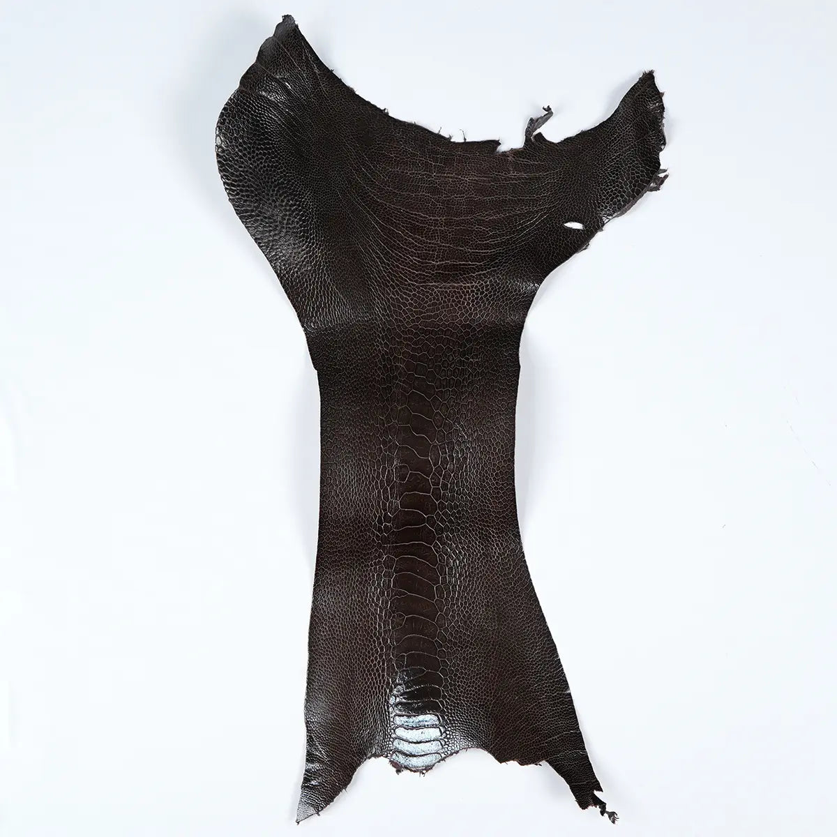 Ostrich Leg Leather Small
