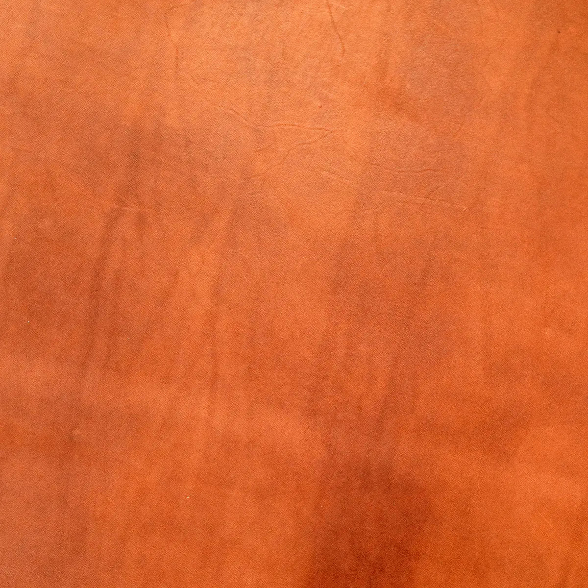 SB Foot Taos Brown Bear Chrome Tanned Leather 5-6 oz.