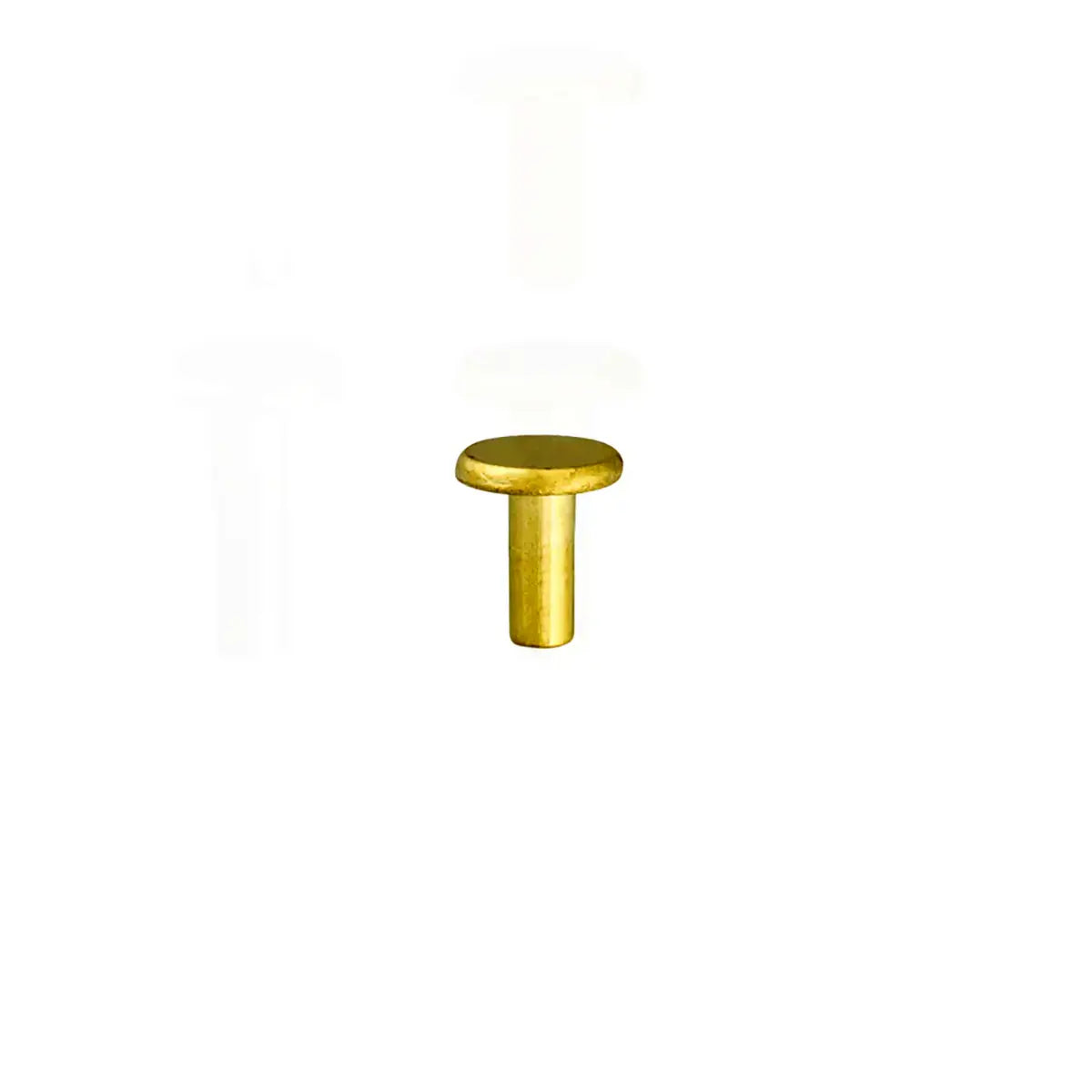Brass Plated Semi Tubular Rivets 100 Pack, 8mm.