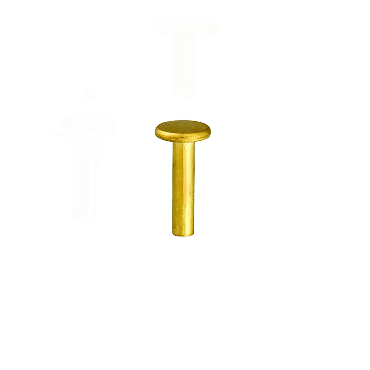 Brass Plated Semi Tubular Rivets 100 Pack, 14mm.