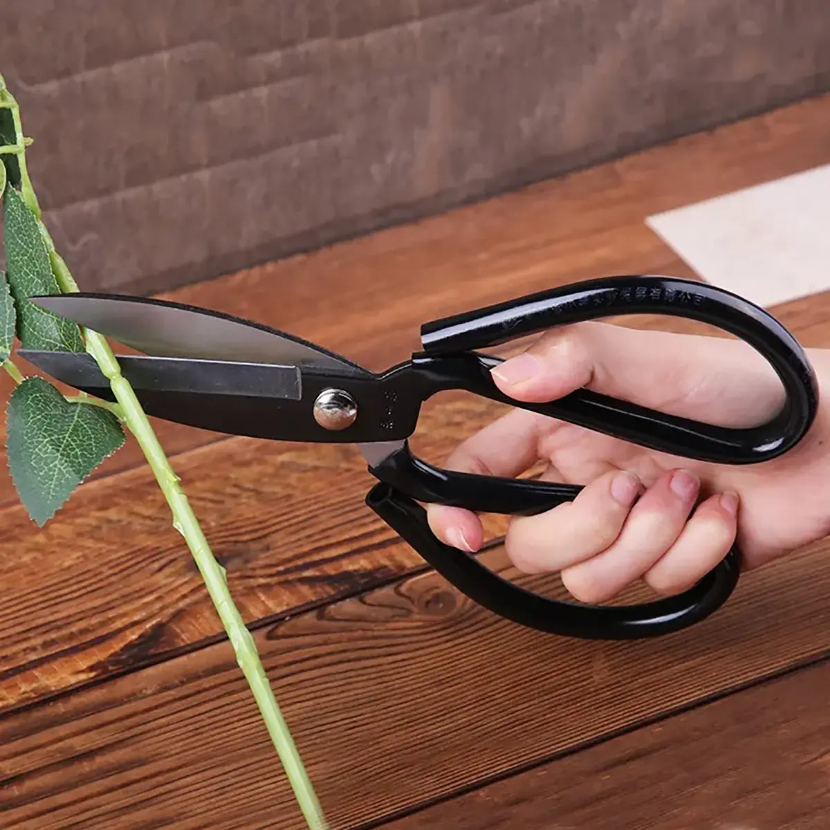 Short Leather Shears