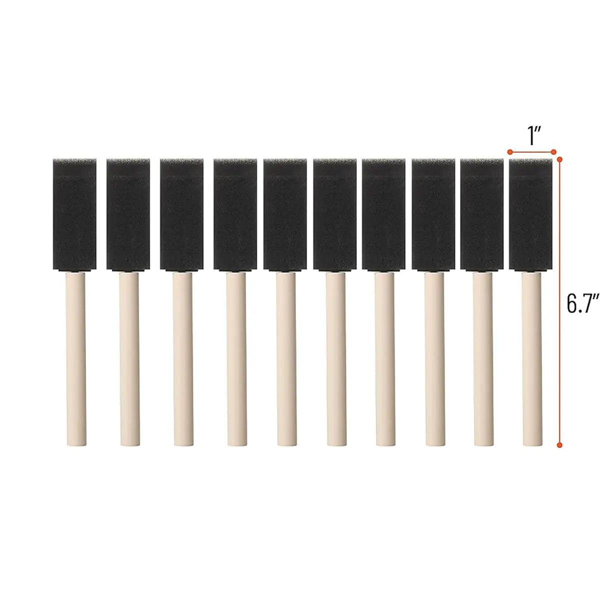 Bates 1 Inch Foam Brush, 10 Pack.