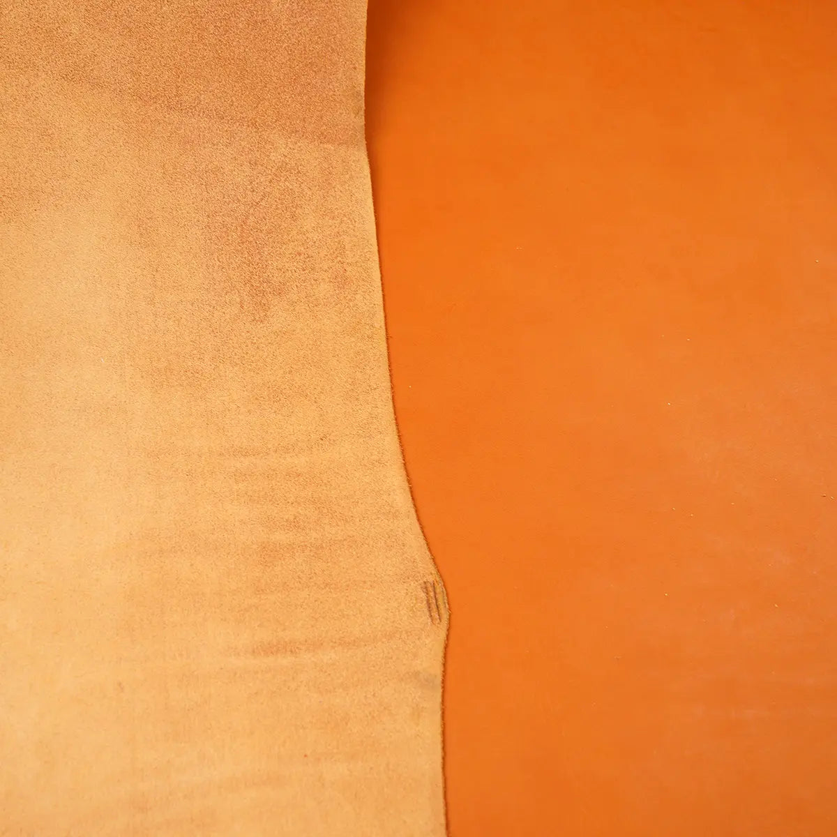 Golden Strap Veg Tanned Leather 5-6 oz.