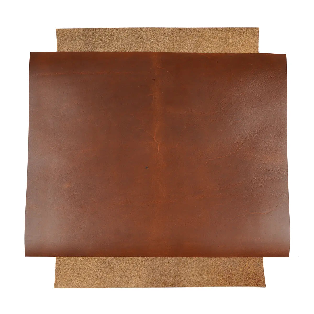 Harvest Horween Cavalier Leather 5-6oz Panels.