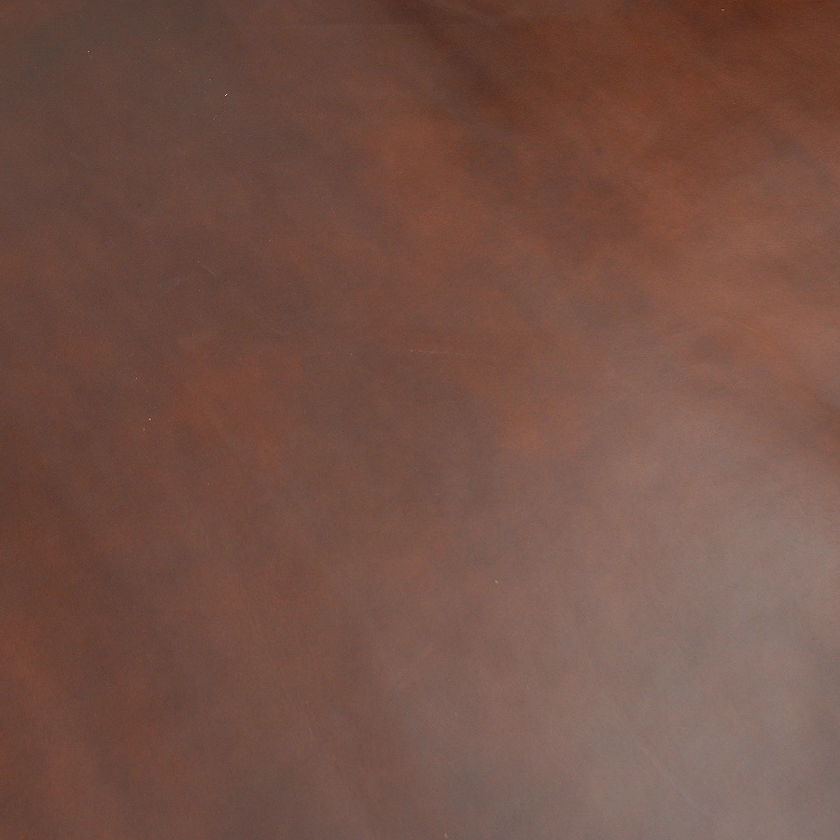 Medium Brown Horween Cavalier Leather 4-5oz.