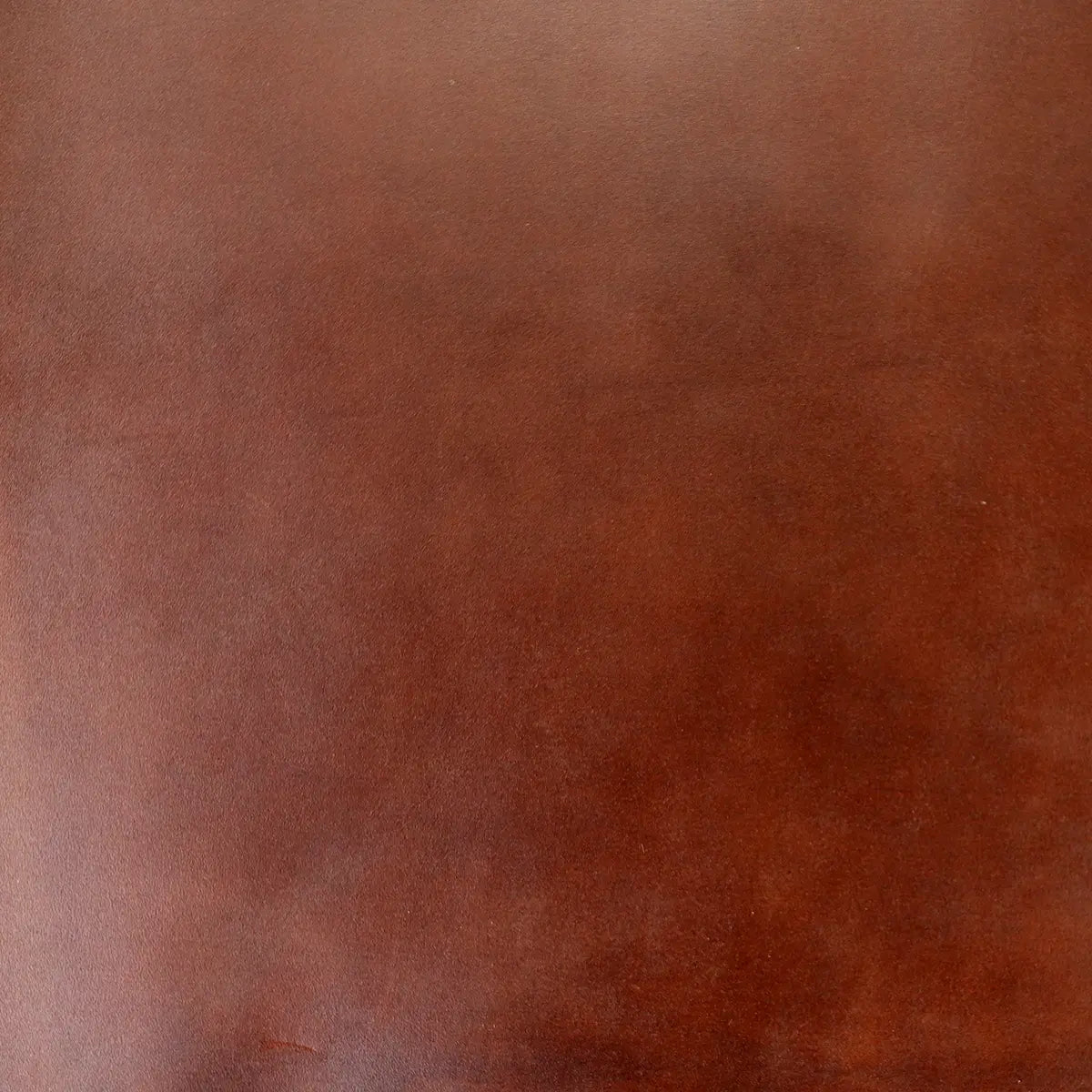 Horween Dublin Type Darker Browns 4-5oz Leather
