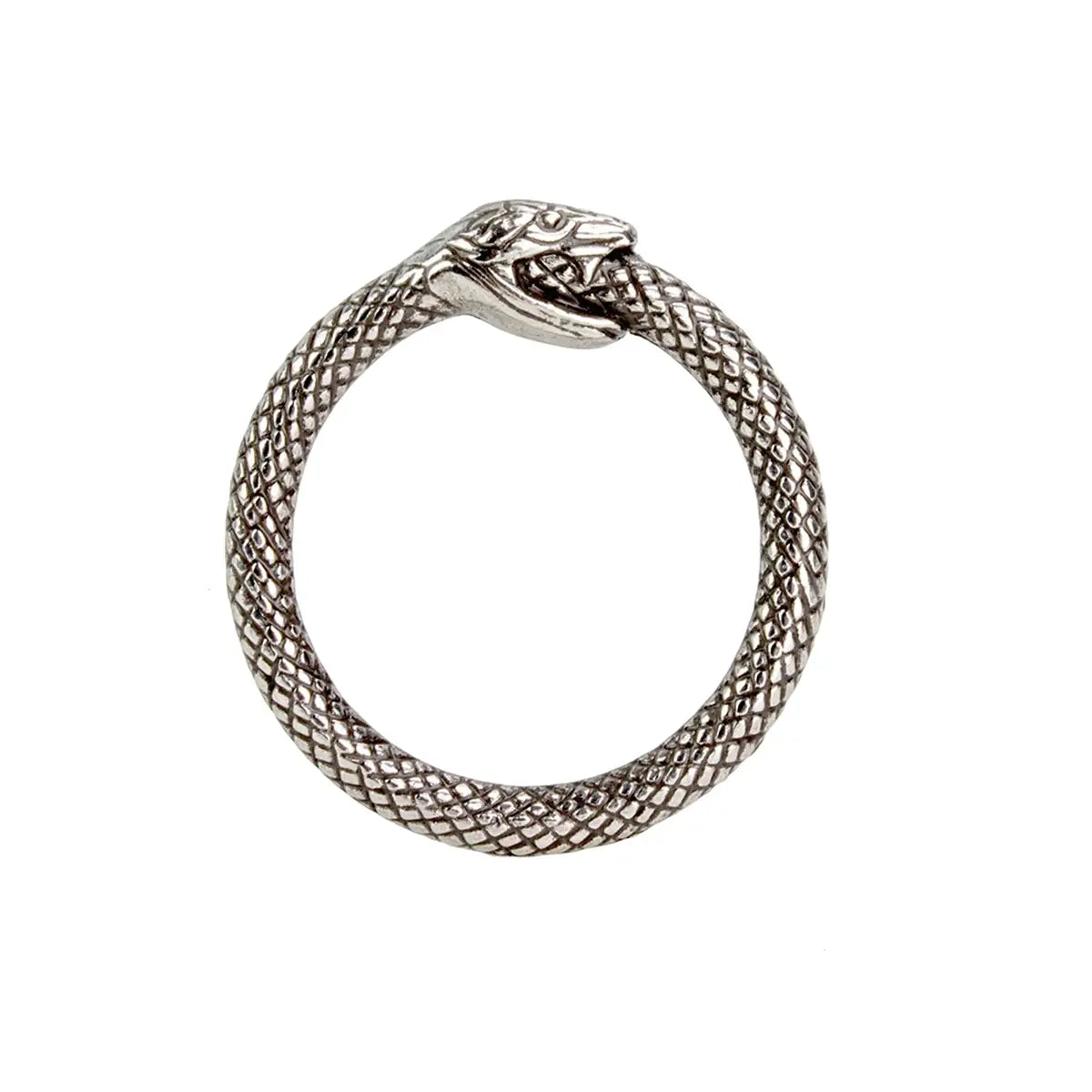 Antique Silver Infinity Snake O-Rings for Leathercraft 1 Inch.