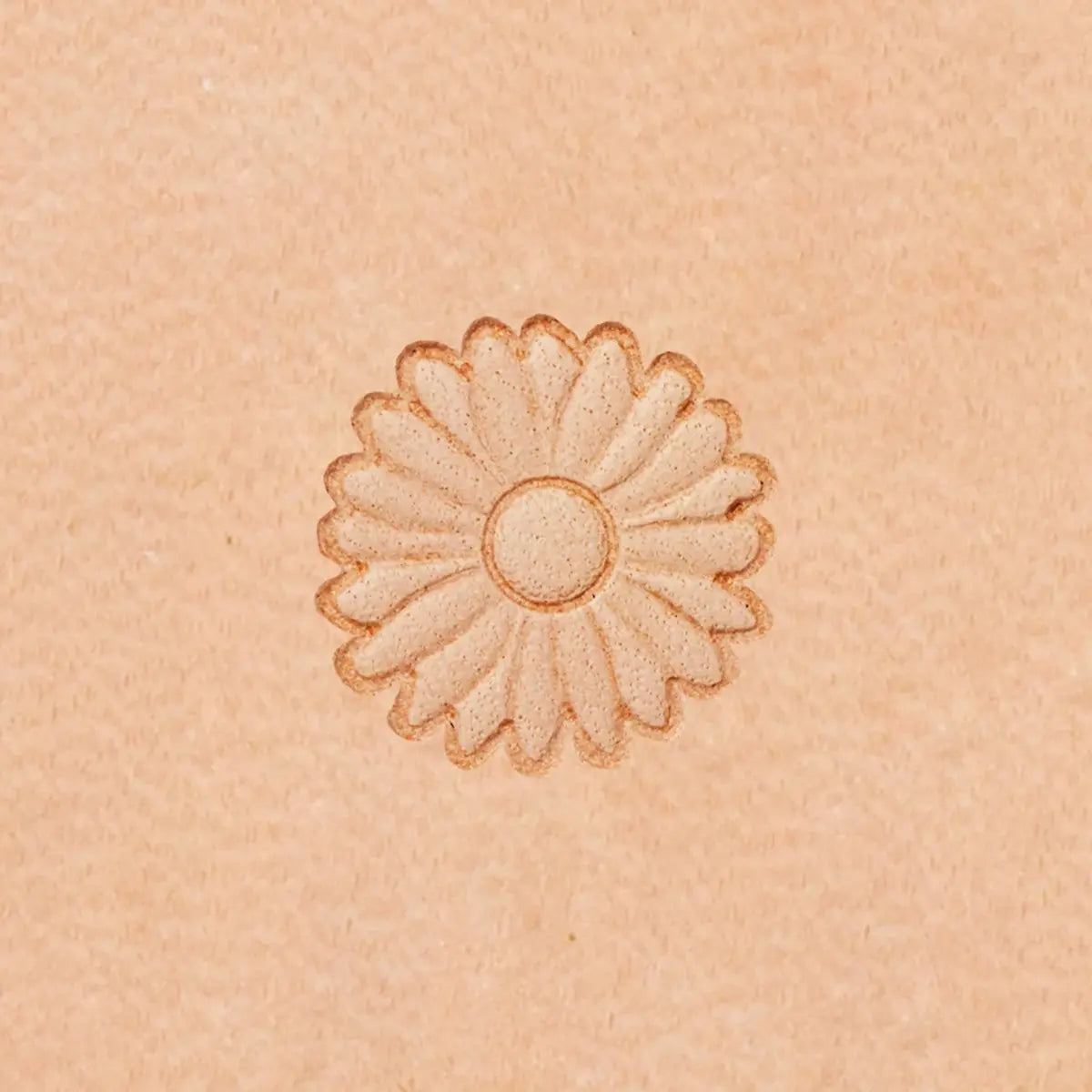E590 - Ivan Leather Tooling Floral Stamps.