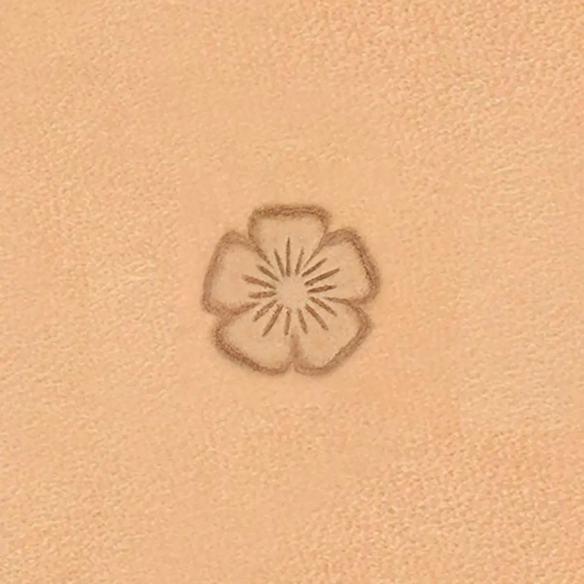 J818 - Ivan Leather Tooling Flower Center Stamps.