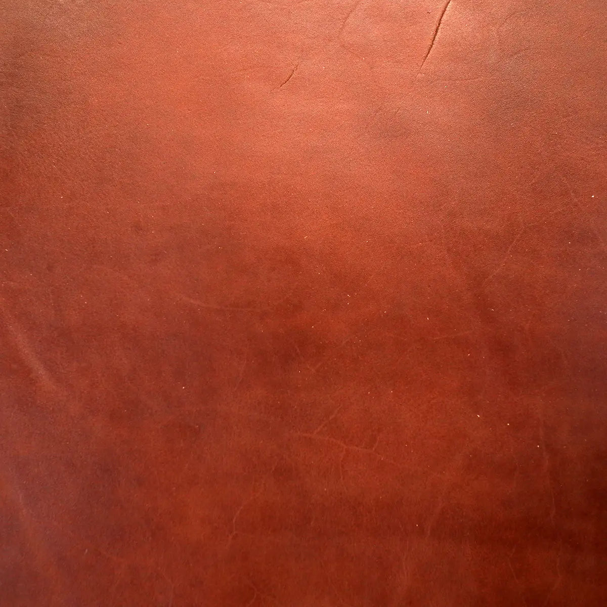Latigo Double Shoulder 4-5oz Leather