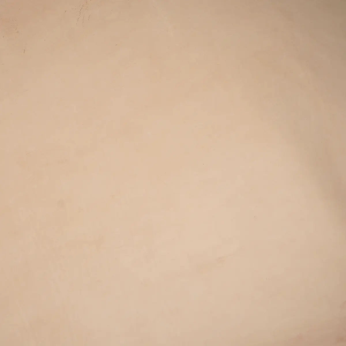 Lost and Found Vegetable Tanned Leather 7-8oz.
