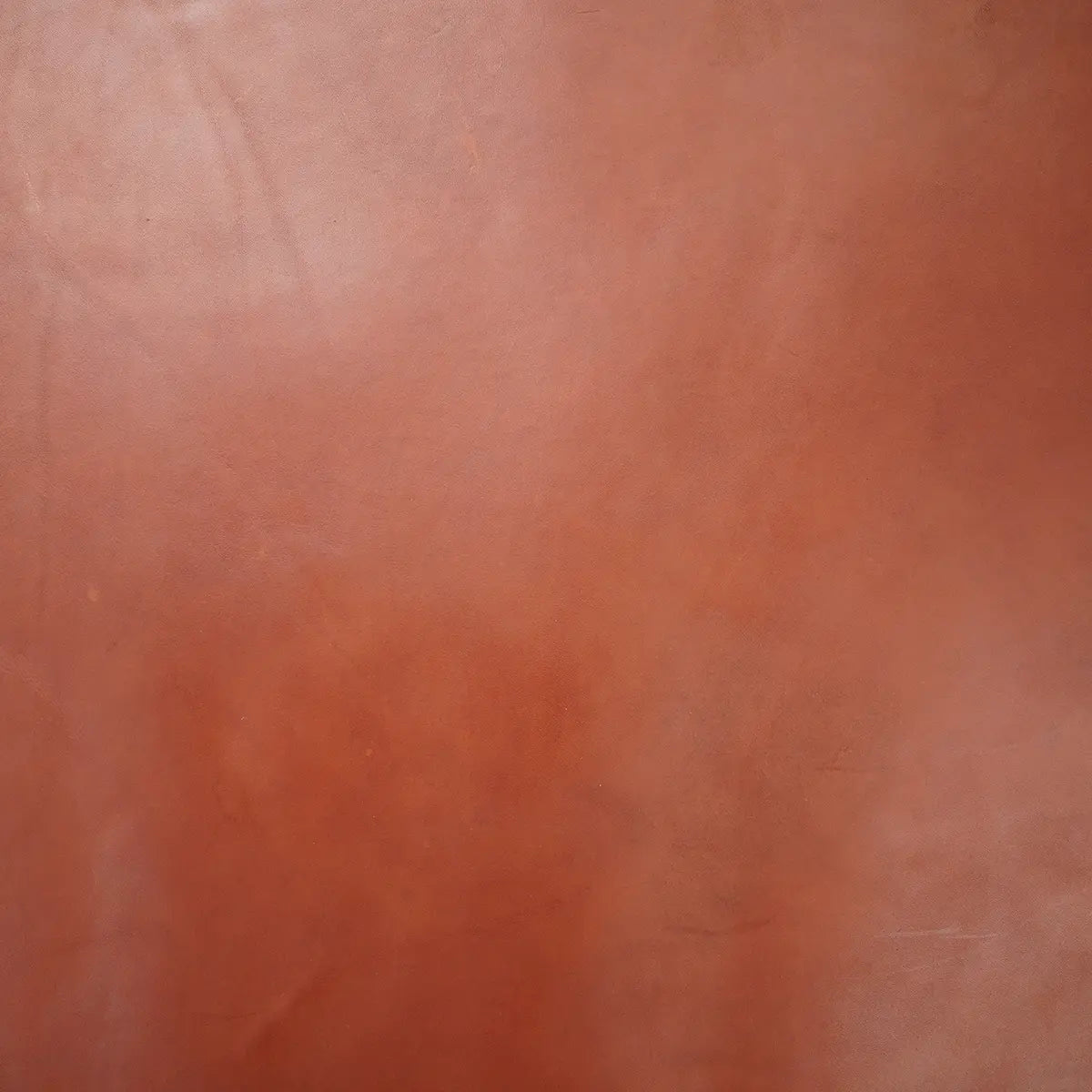Wickett & Craig English Bridle Leather SG - Medium Brown